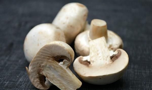 菇类长白毛了还能吃吗(菇类长了白毛毛还能吃吗)图1