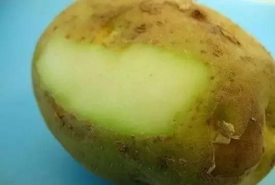 土豆放久了表皮有些发绿还能吃吗图3