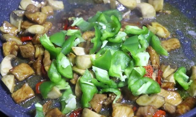 食用菌美食指南(昆明菌汤几月份可以喝)图10