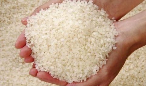 米放时间长了有虫子怎么办,米放久了会出现的虫子从哪里来图3