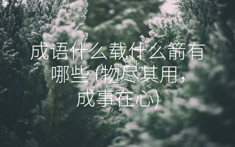 成语什么载什么箭有哪些 (物尽其用，成事在心)