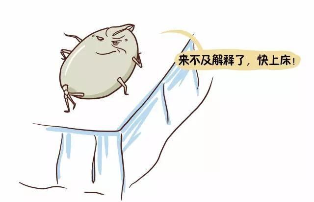 你每天和上百万只螨虫一起入睡吗