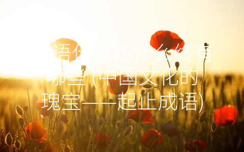 成语什么始什么终有哪些 (中国文化的瑰宝——起止成语)