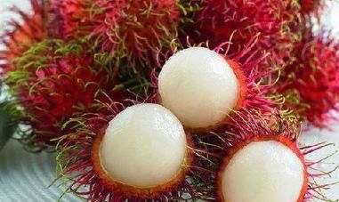 红毛丹怎么种植方法 泰国红毛丹和海南红毛丹哪个好