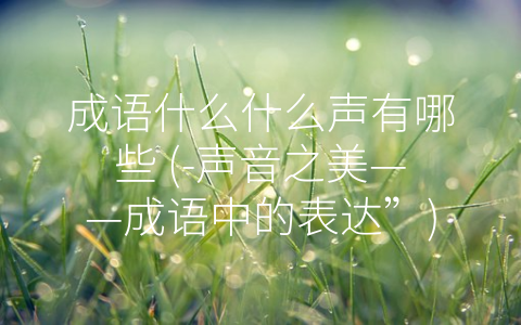 成语什么什么声有哪些 (-声音之美——成语中的表达”)