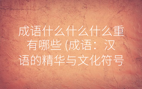 成语什么什么什么重有哪些 (成语：汉语的精华与文化符号)