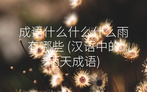 成语什么什么什么雨有哪些 (汉语中的雨天成语)