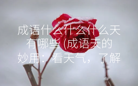 成语什么什么什么天有哪些 (成语天的妙用：看天气，了解文化)