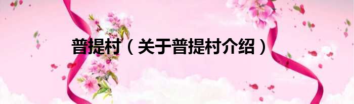 普提村 关于普提村介绍