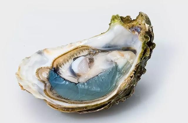 翡翠生蚝越绿越好 绿翡翠牡蛎