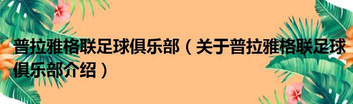 普拉雅格联足球俱乐部 关于普拉雅格联足球俱乐部介绍
