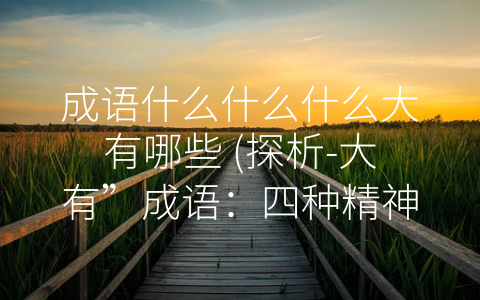 成语什么什么什么大有哪些 (探析-大有”成语：四种精神状态的体现)