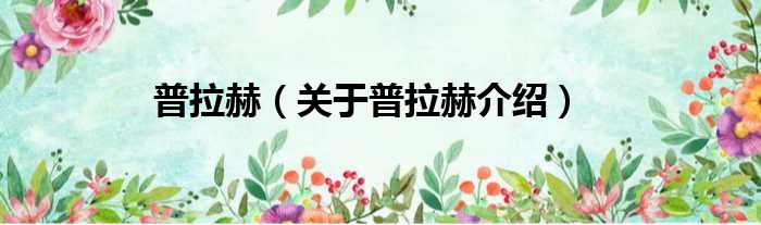 普拉赫 关于普拉赫介绍