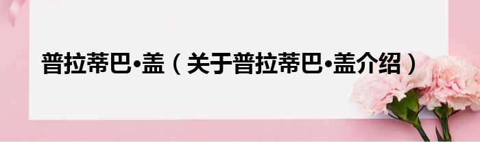 普拉蒂巴·盖 关于普拉蒂巴·盖介绍
