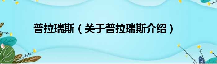 普拉瑞斯 关于普拉瑞斯介绍