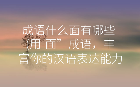 成语什么面有哪些 (用-面”成语，丰富你的汉语表达能力)