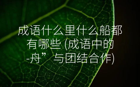 成语什么里什么船都有哪些 (成语中的-舟”与团结合作)