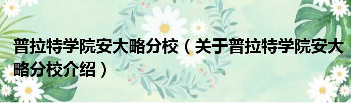 普拉特学院安大略分校 关于普拉特学院安大略分校介绍