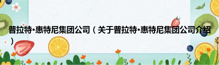 普拉特·惠特尼集团公司 关于普拉特·惠特尼集团公司介绍