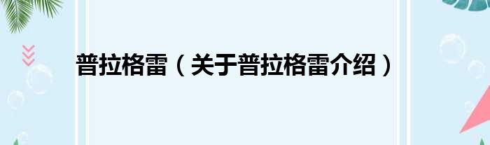 普拉格雷 关于普拉格雷介绍