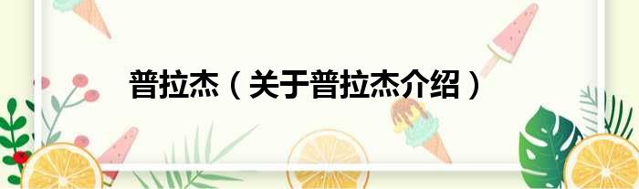 普拉杰 关于普拉杰介绍