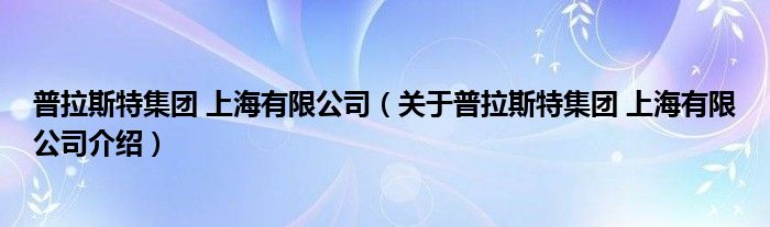 普拉斯特集团 上海有限公司 关于普拉斯特集团 上海有限公司介绍