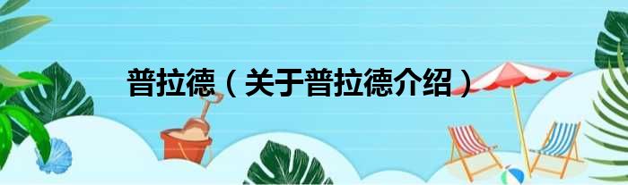 普拉德 关于普拉德介绍