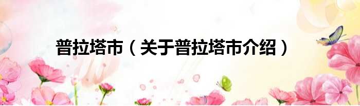 普拉塔市 关于普拉塔市介绍