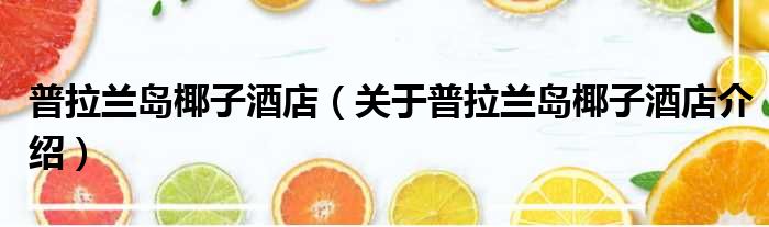 普拉兰岛椰子酒店 关于普拉兰岛椰子酒店介绍