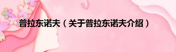 普拉东诺夫 关于普拉东诺夫介绍