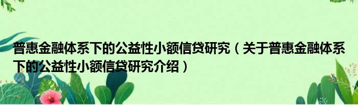 普惠金融体系下的公益性小额信贷研究 关于普惠金融体系下的公益性小额信贷研究介绍