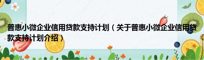 普惠小微企业信用贷款支持计划 关于普惠小微企业信用贷款支持计划介绍