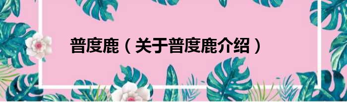 普度鹿 关于普度鹿介绍