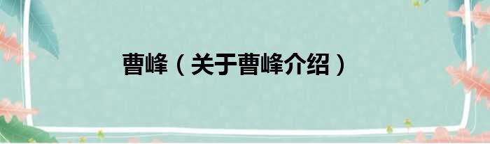 曹峰 关于曹峰介绍