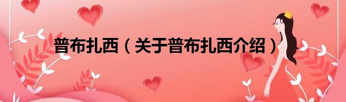 普布扎西 关于普布扎西介绍