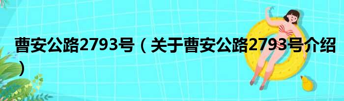 曹安公路2793号 关于曹安公路2793号介绍