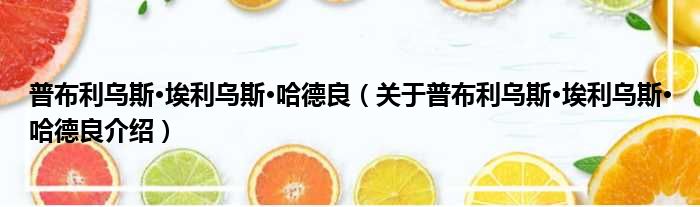 普布利乌斯·埃利乌斯·哈德良 关于普布利乌斯·埃利乌斯·哈德良介绍