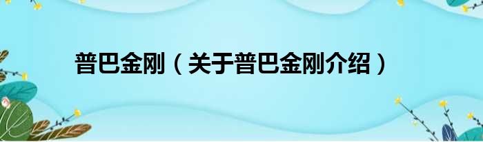 普巴金刚 关于普巴金刚介绍