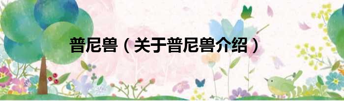普尼兽 关于普尼兽介绍