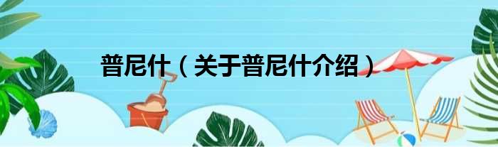普尼什 关于普尼什介绍