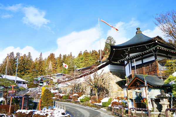 日本国花是什么