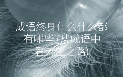 成语终身什么什么都有哪些 (从成语中看人生之路)