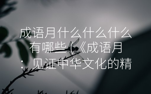 成语月什么什么什么有哪些 (《成语月：见证中华文化的精华》)
