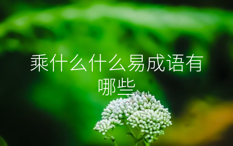 乘什么什么易成语有哪些