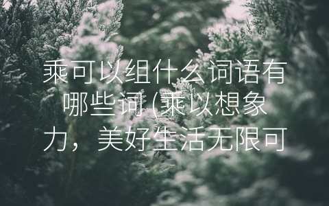 乘可以组什么词语有哪些词 (乘以想象力，美好生活无限可能)