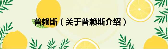 普赖斯 关于普赖斯介绍