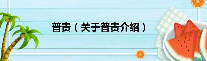 普贵 关于普贵介绍