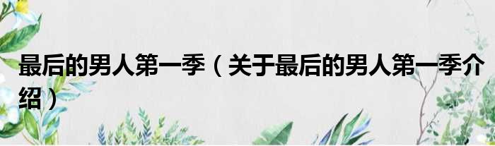最后的男人第一季 关于最后的男人第一季介绍