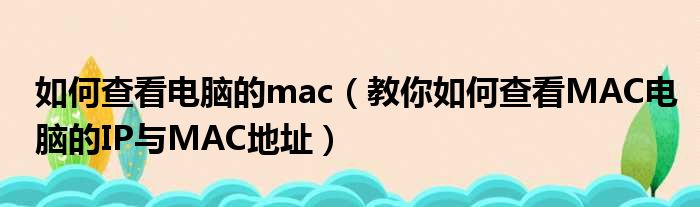 如何查看电脑的mac 教你如何查看MAC电脑的IP与MAC地址