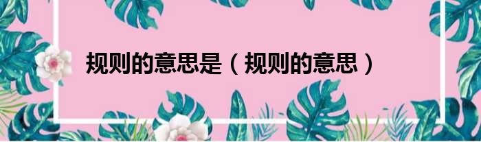 规则的意思是 规则的意思